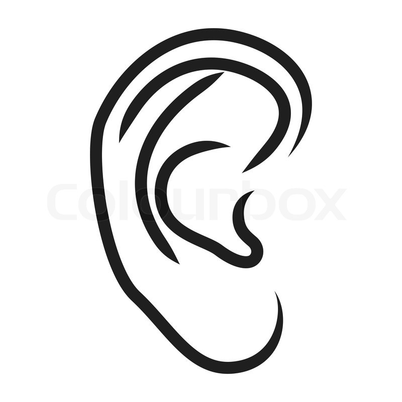 800x800 The Human Ear