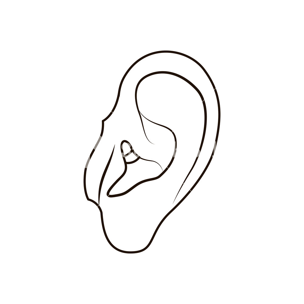 1000x1000 Human Ear Avatar Character Vector Illustration Design Royalty Free