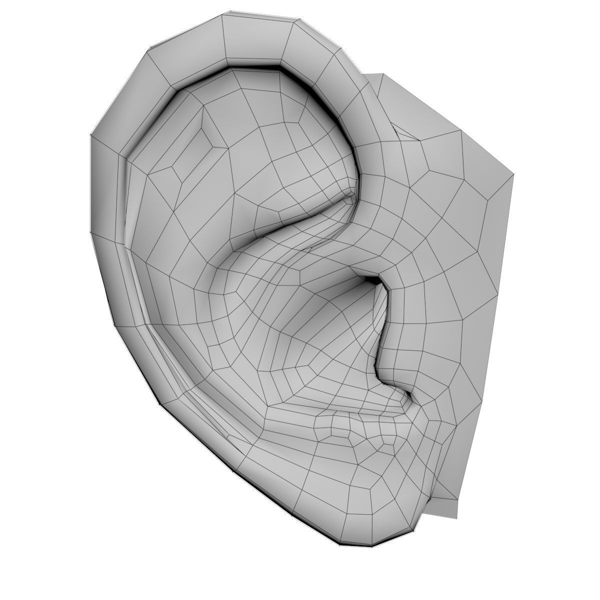 1200x1200 Organ Human Ear Cgtrader