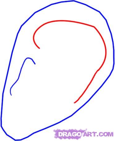 372x458 Draw An Ear, Step
