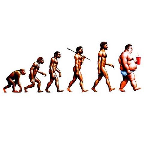 480x481 The Human Microbiome In Overweight And Obesity The Dawn Of A New Era