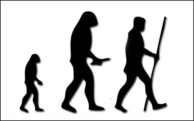 647x404 Million Year Old Footprints Challenge Human Evolution Theory