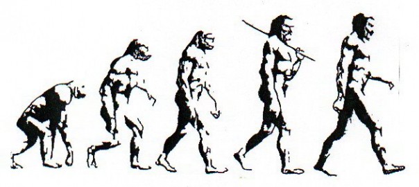 604x270 The Theory Of Evolution Does Not Apply To Modern Human Beings