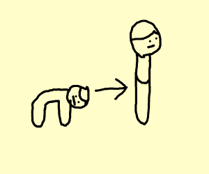 300x250 Human Evolution