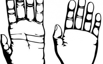 350x219 Human Evolution