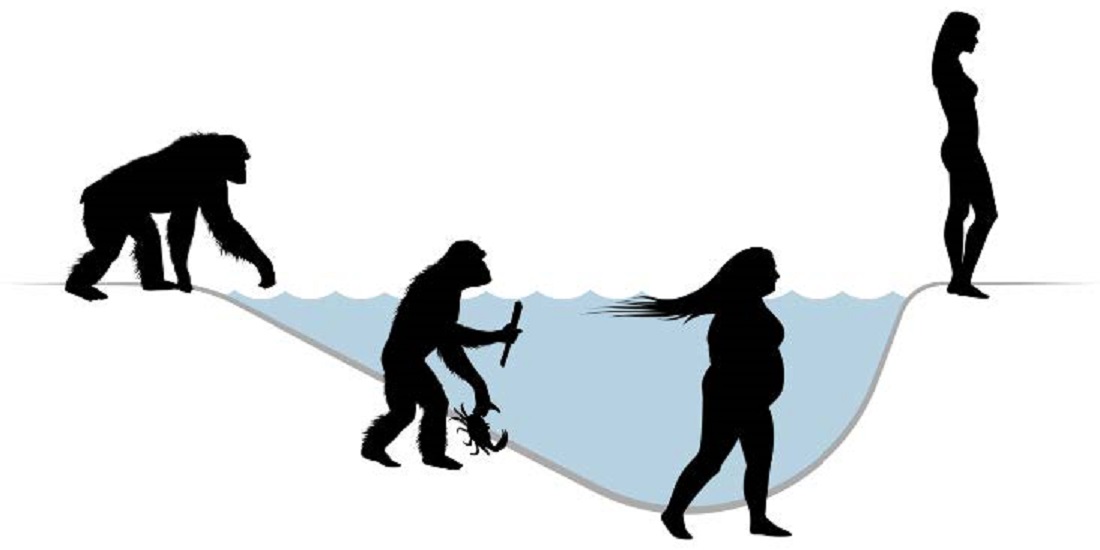 1100x550 Acclaimed Fossils Might Not Depict Human Evolution