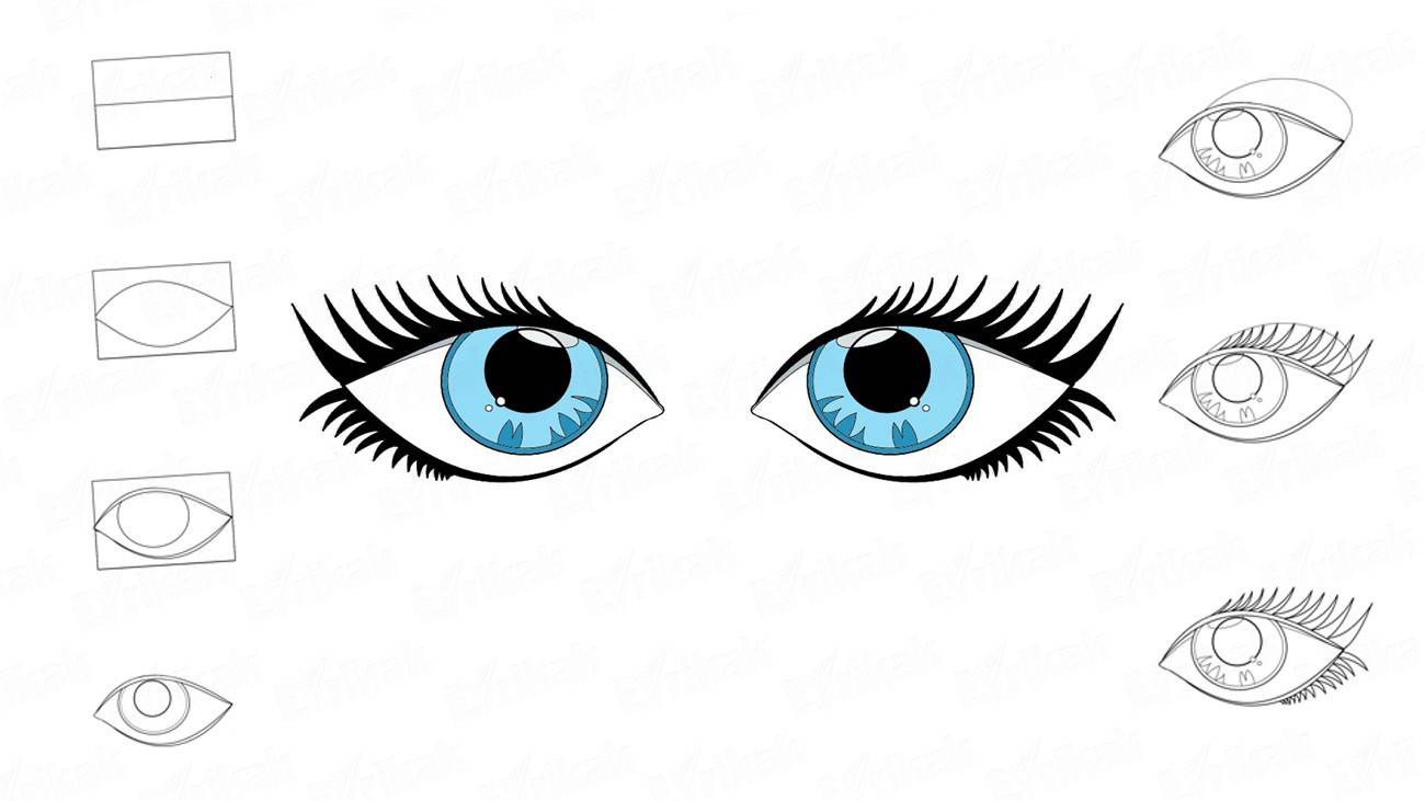 1300x731 How To Draw The Human Eyes Step