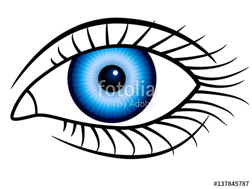 500x375 Human Eye Icon Stock Image And Royalty Free Vector