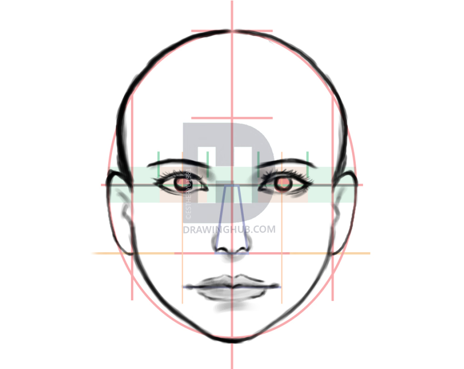 904x720 How To Draw A Human Face, Step