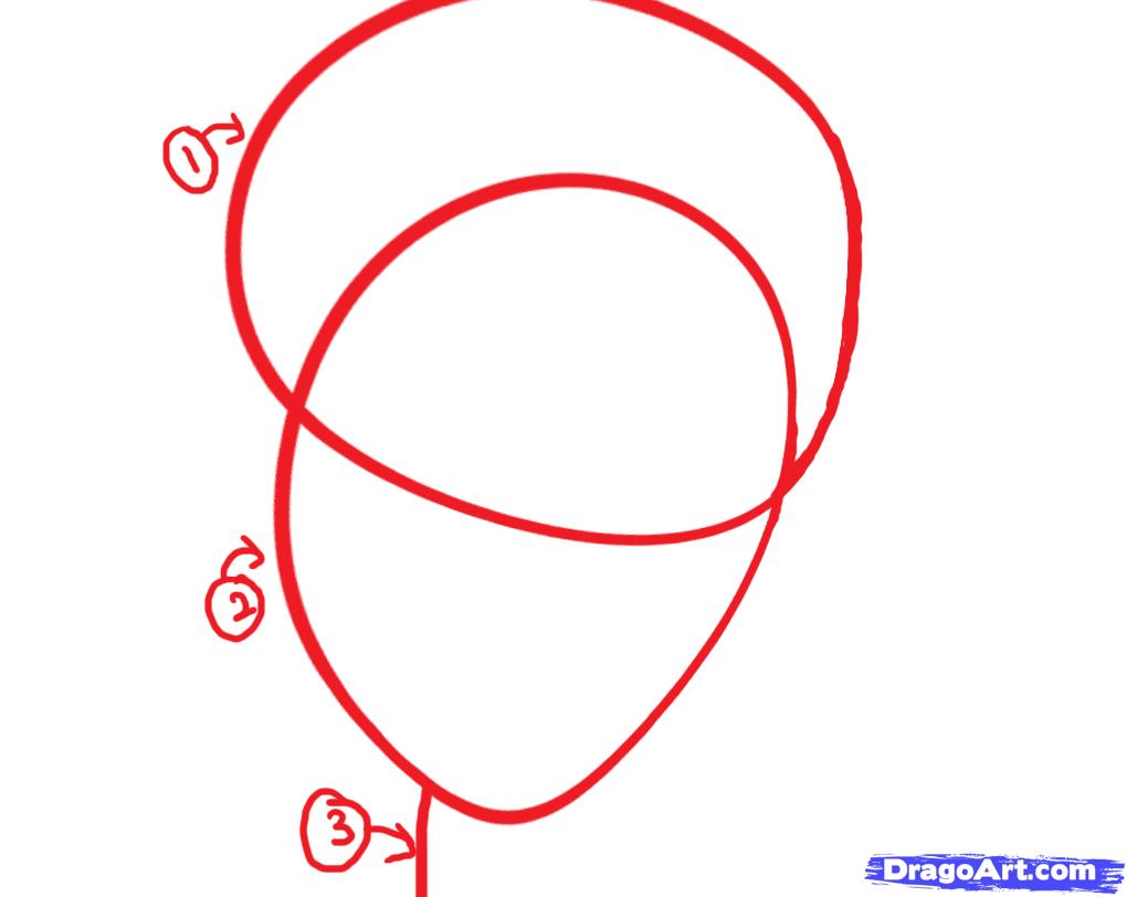 1020x812 How To Draw A Human Face, Step