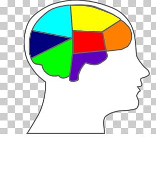 310x357 outline of the human brain human head png, clipart, anatomy, area
