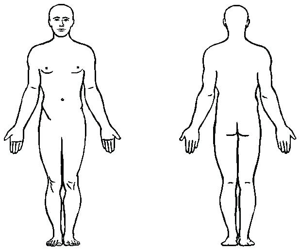 618x515 Human Body Template Printable