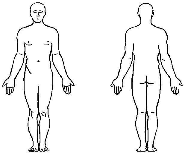 618x515 Image Result For Outline Of Torso Shape For Medical Form