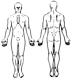 245x271 Collection Of Free Drawing Form Body Twisting Download On Ui Ex