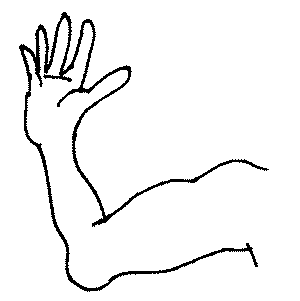 300x301 recommended maximum force for human hand