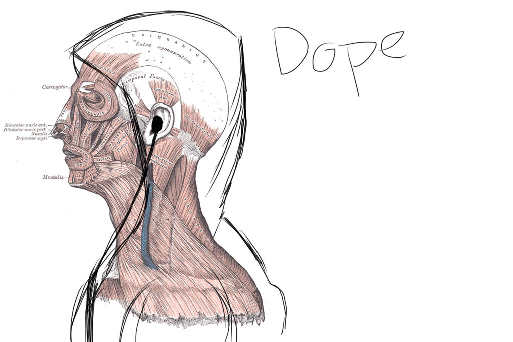 1024x683 Human Anatomy