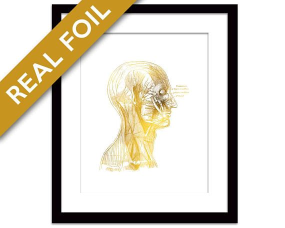 570x456 Human Head Anatomical Gold Foil Art Print