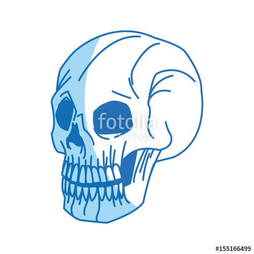 500x500 Skeleton Of The Human Head, Vintage Bone Vector Illustration