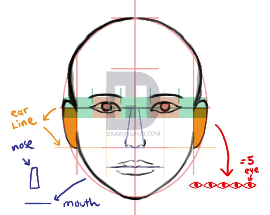 904x720 How To Draw A Human Face, Step