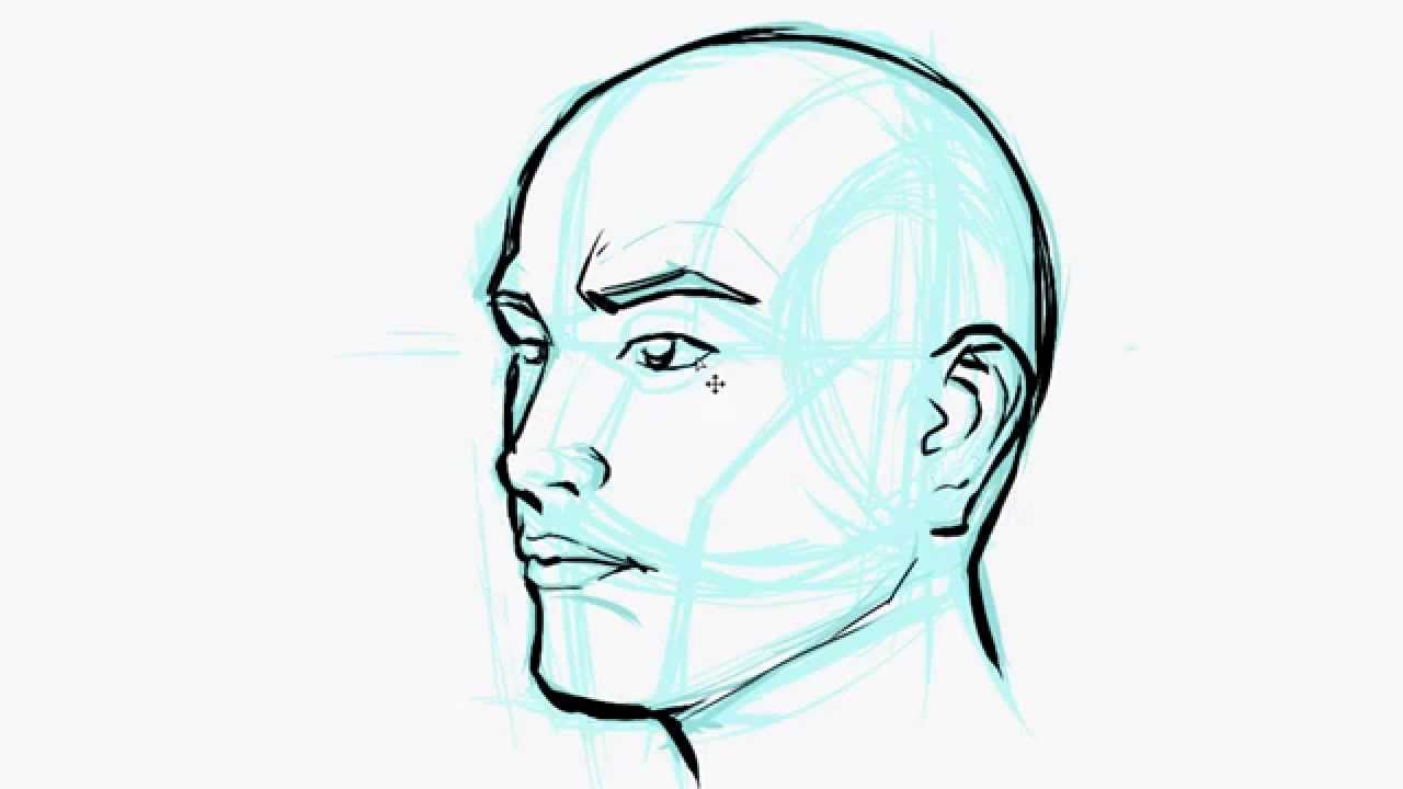 1280x720 Drawing The Human Head