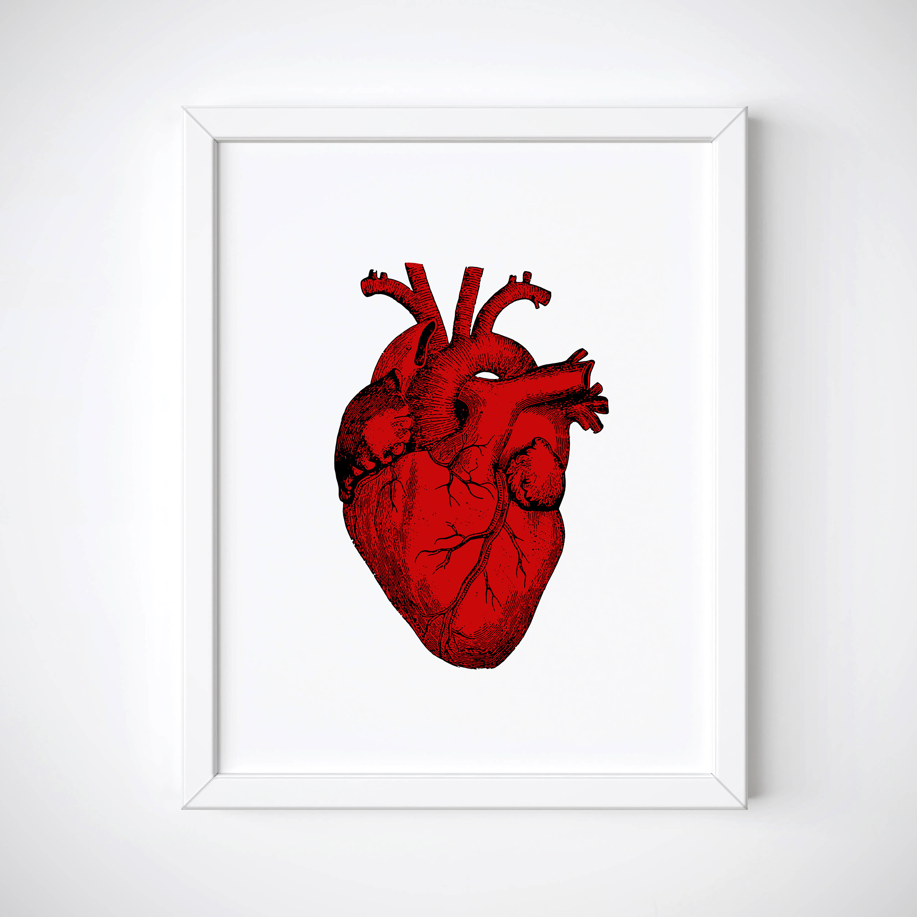 3000x3000 Red Anatomical Heart Print Human Heart Print Tumblr Room Etsy