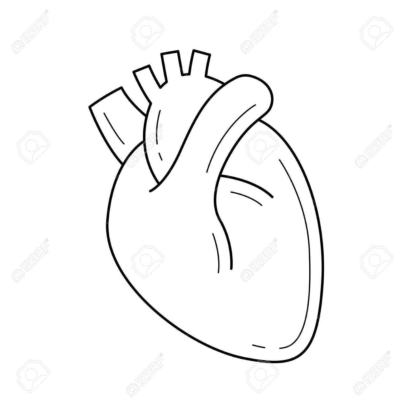 1300x1300 Huge Collection Of 'human Heart Line Drawing' Download More Than