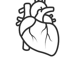 260x200 Human Heart Clipart Drawing Clipart Portal