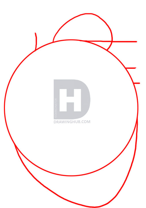 507x720 How To Draw A Human Heart, Step