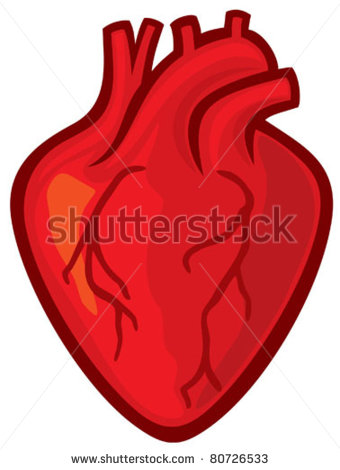 340x470 Human Heart Drawing Clipart