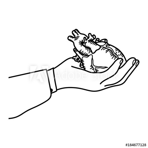 500x500 Hand Holding A Human Heart Vector Illustration Outline Sketch Hand