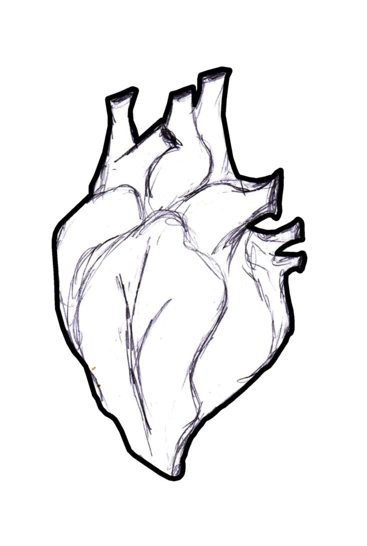 733x1090 Human Heart Drawing Outline