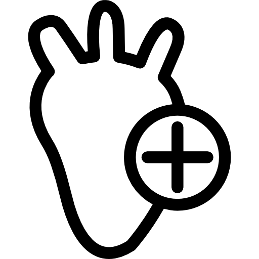 512x512 Human Heart Outline Pictures And Cliparts, Download Free