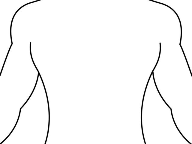 640x480 Human Body Outline Printable