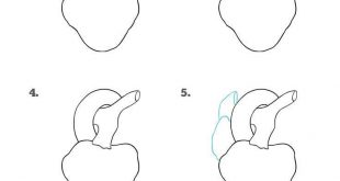 310x165 How To Draw A Mushroom