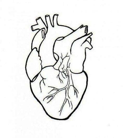 473x530 Human Heart Embroidery Anatomical Line Art Simple Embroidery