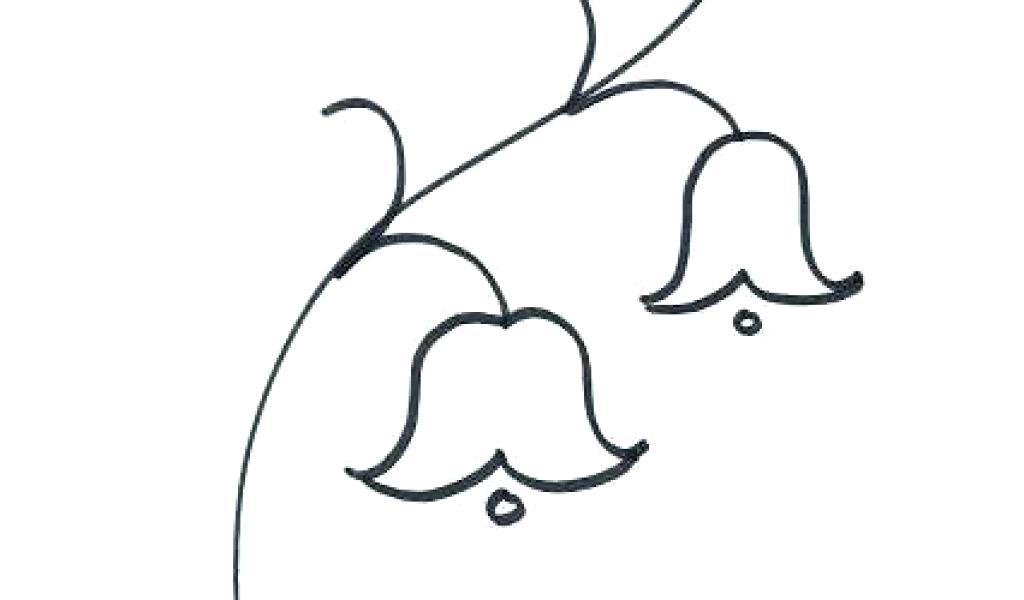 1024x600 How To Draw Simple