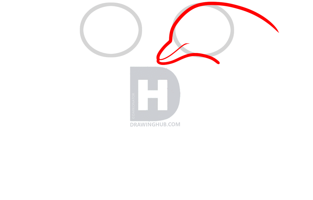 1080x690 How To Draw Love Dolphins, Dolphin Heart, Step