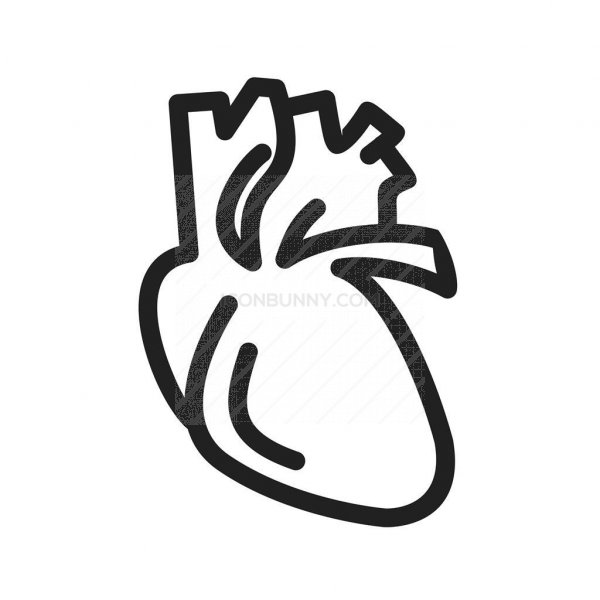 600x600 Heart Line Icon