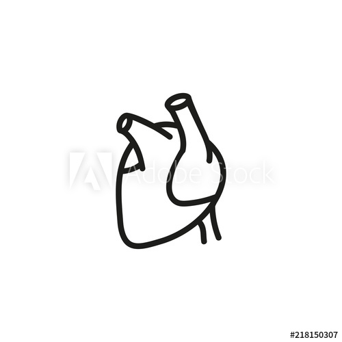 500x500 human heart line icon cardiology, heart disease, attack organs