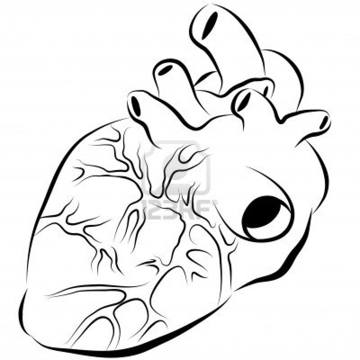 1200x1200 Body Parts Print Inspirations And Reference