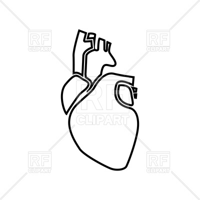 400x400 Human Heart Outline Icon Vector Image Of Healthcare, Medical