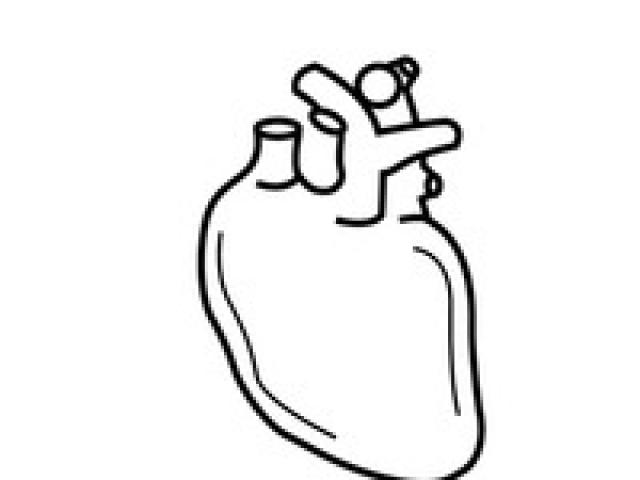 640x480 Organs Clipart Human Heart Outline