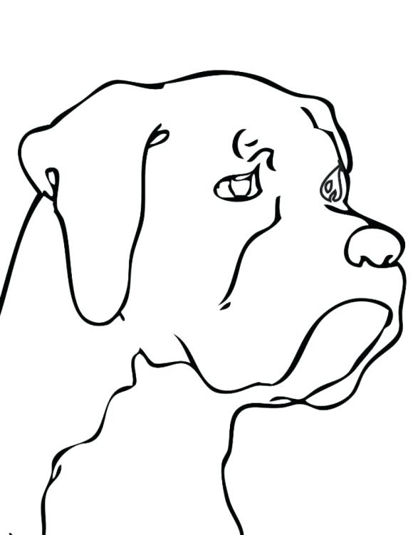 580x751 Easy Drawings Of Dogs