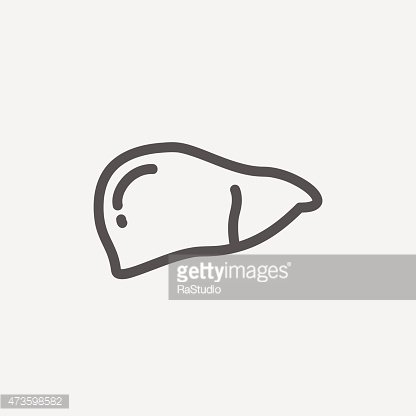 416x416 Human Liver Thin Line Icon Premium Clipart