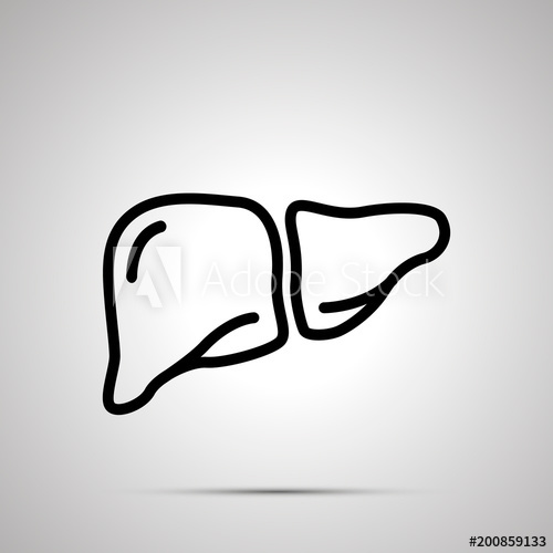 500x500 Simple Black Human Liver Icon With With Shadow