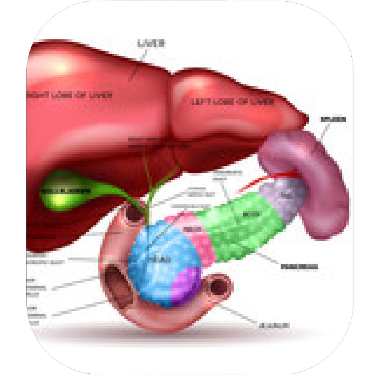 1200x1200 Designs Mein Mousepad Design Mousepad Selbst Designen