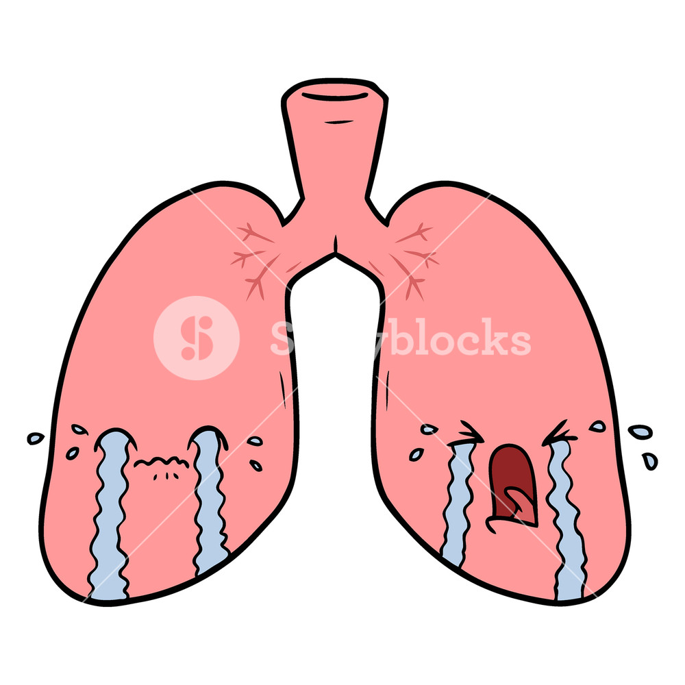 1000x1000 Human Lungs Drawing