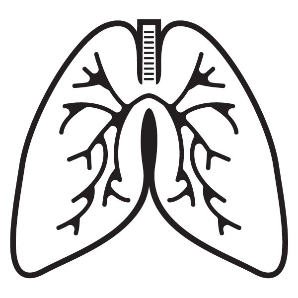 600x600 Lungs Black And White Transparent Png Clipart Free Download
