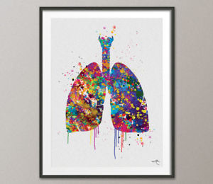 300x260 Lungs Watercolor Print Human Anatomy Art Clinic Decor Medical Art