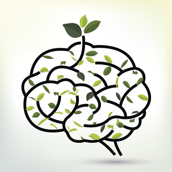 600x600 Lungs With Green Leaf Black Outline Vector Illustration Art